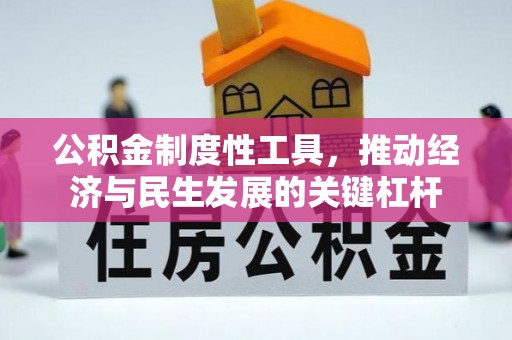 望奎公积金制度性工具，推动经济与民生发展的关键杠杆