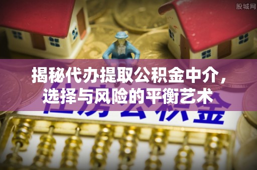 望奎揭秘代办提取公积金中介，选择与风险的平衡艺术