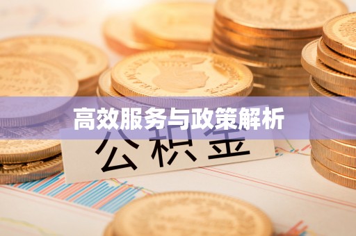 望奎高效服务与政策解析