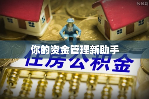 望奎你的资金管理新助手