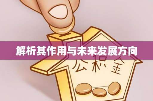 望奎解析其作用与未来发展方向