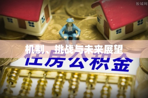 望奎机制、挑战与未来展望