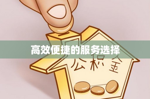 望奎高效便捷的服务选择